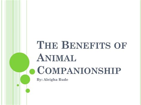 Benefits of Animal Companionship