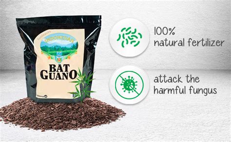 Benefits of Bat Guano: