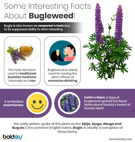 Benefits of Bugleweed Fertilizer