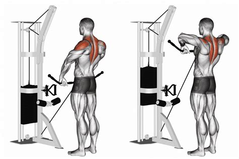 Benefits of Cable Upright Rows