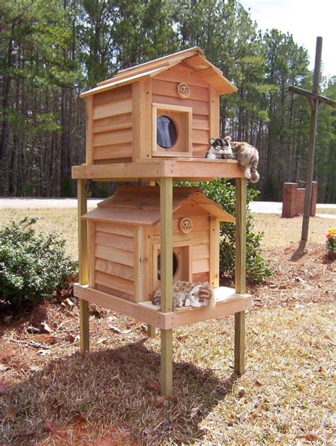 Benefits of Cat Condo Houses