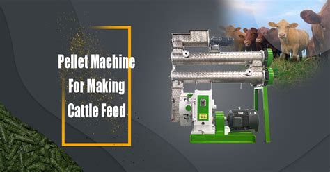 Benefits of Cattle Feed Pellet Machine