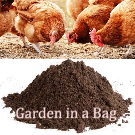 Benefits of Chicken Manure Compost