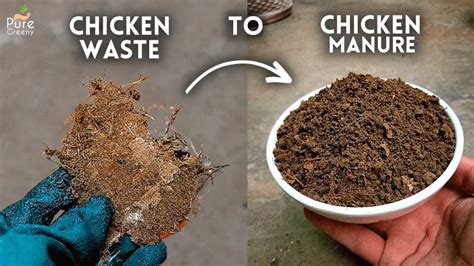 Benefits of Chicken Manure Crushers