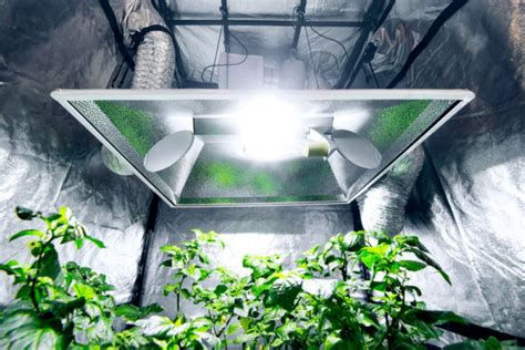 Benefits of Clear Grow Tents