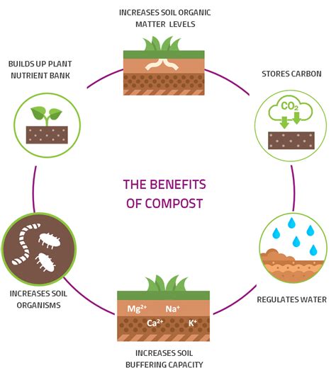 Benefits of Compost Fertilizer