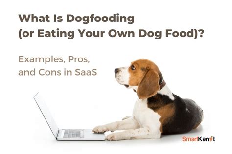 Benefits of Designing Your Own Dog Food