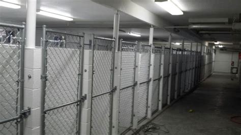 Benefits of Dog Fence Kennels