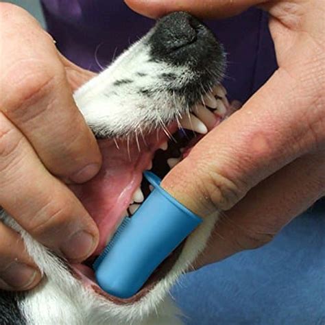 Benefits of Dog Finger Toothbrushes