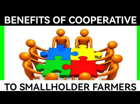 Benefits of Farming Simulation Cooperatives