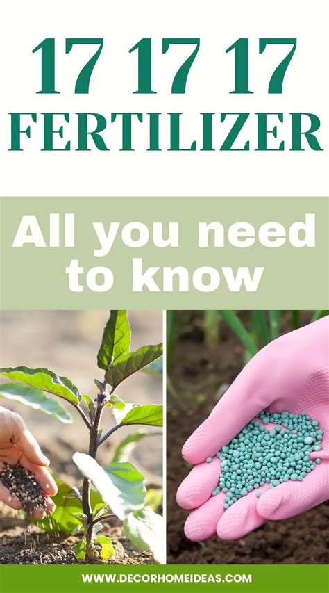 Benefits of Fertilizer 17 17 17