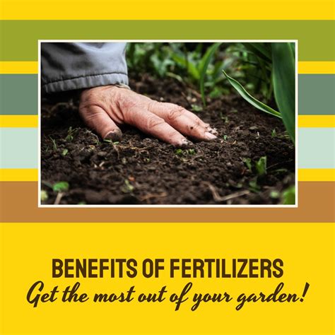 Benefits of Fertilizer Injection