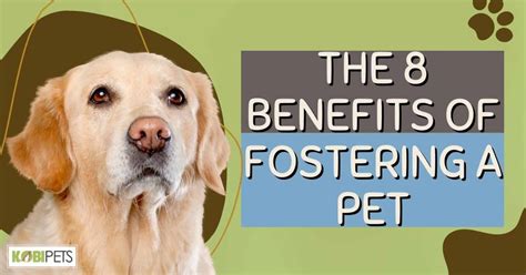 Benefits of Fostering a Pet