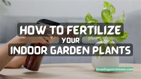 Benefits of Gardens Alive Fertilizer: A Nourishing Feast for Your Plants