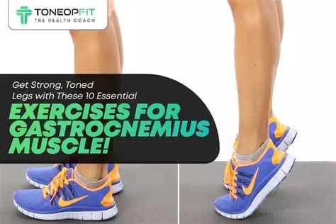 Benefits of Gastrocnemius Exercises