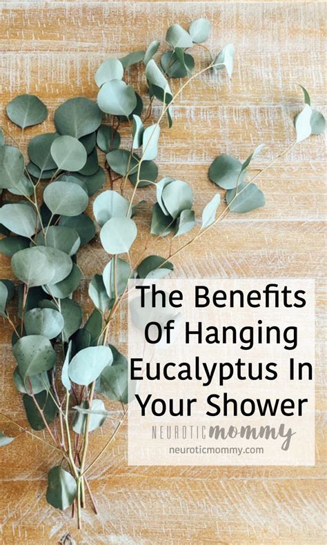 Benefits of Hanging Plants