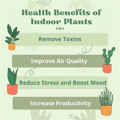 Benefits of Indoor Plants: