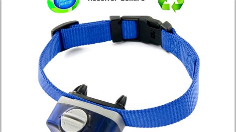 Benefits of Invisible Fence Collars