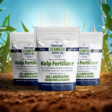 Benefits of Kelp Seaweed Fertilizer: A Comprehensive List