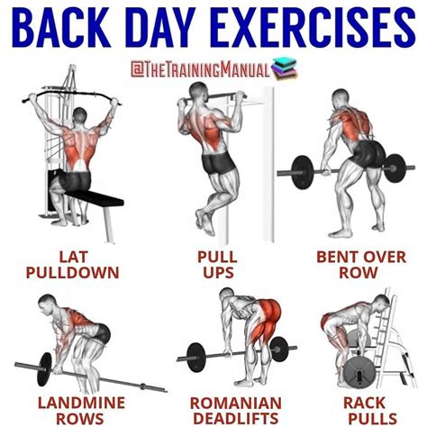 Benefits of Lower Back Workouts