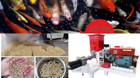 Benefits of Machine Fish Feed