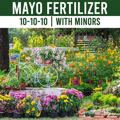 Benefits of Mayo Fertilizer