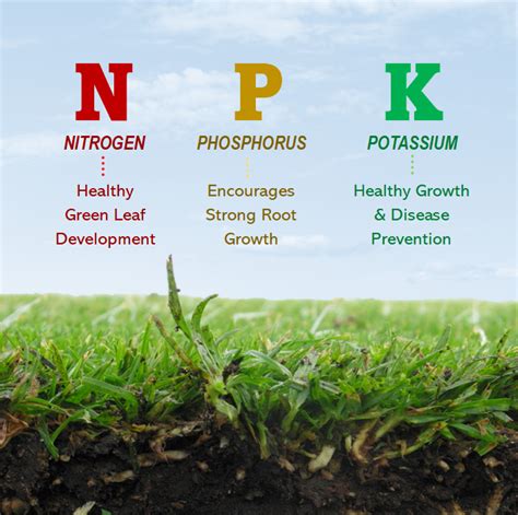 Benefits of NPK Fertilizer