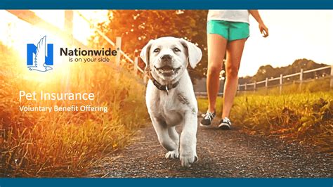 Benefits of Nationwide Animal Insurance