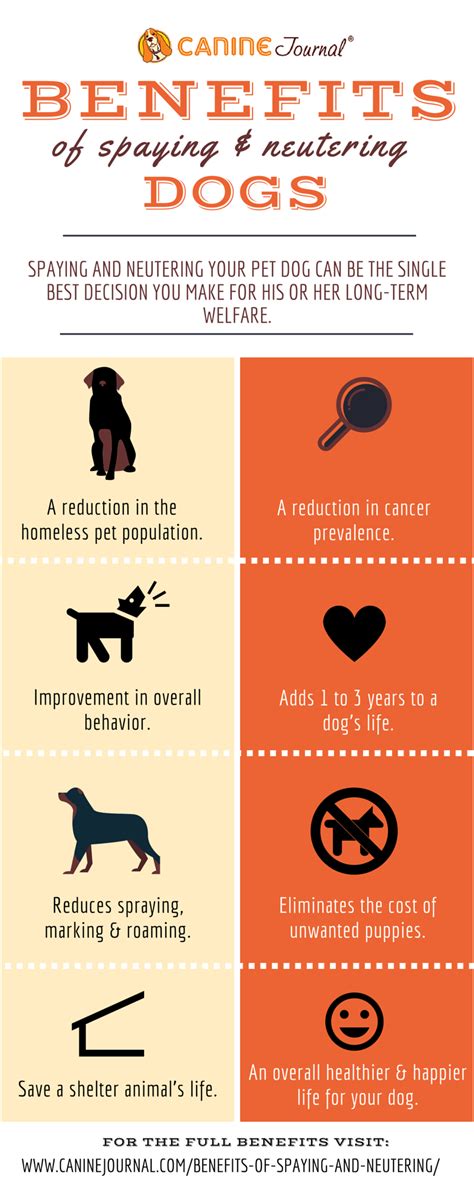 Benefits of Neutering