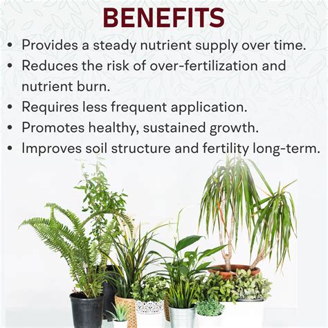 Benefits of Organic Indoor Plant Fertilizers