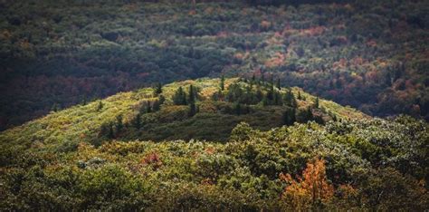 Benefits of Overlook Cabins: A Symphony of Nature's Embrace