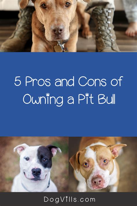 Benefits of Owning and Supporting Pit Bulls