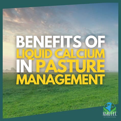 Benefits of Pasture Fertilization: