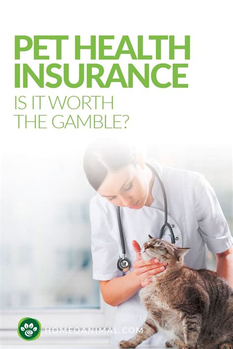 Benefits of Pet Health Insurance: