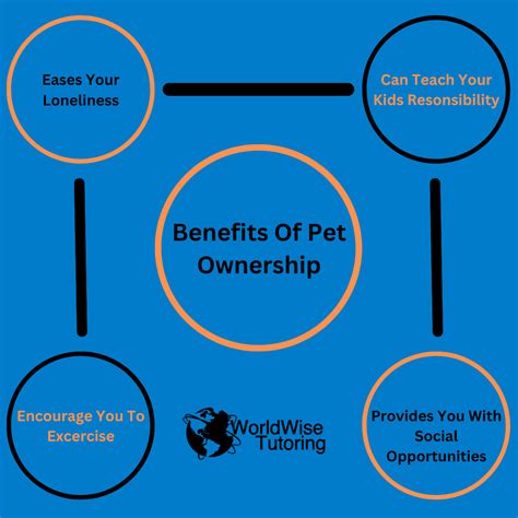 Benefits of Pet Ownership for Students