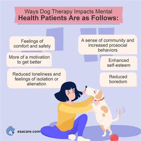 Benefits of Physical Therapy for Dogs