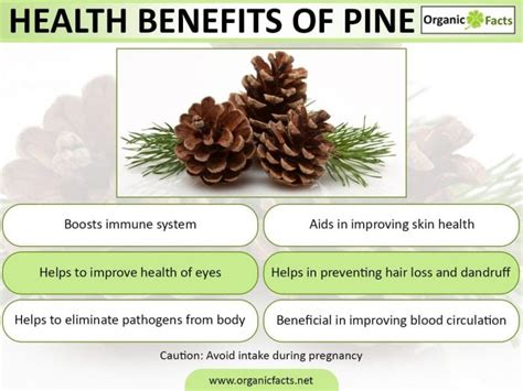 Benefits of Pine Green