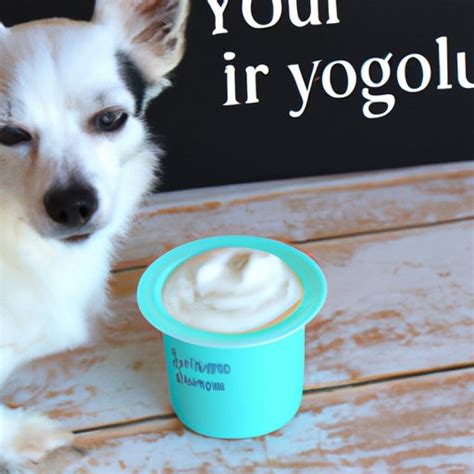 Benefits of Plain Greek Yogurt for Dogs