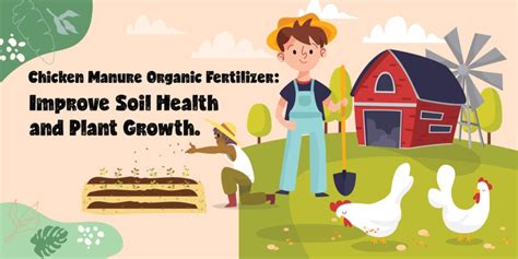 Benefits of Poultry Manure Fertilizer