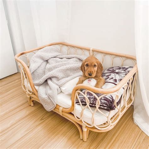 Benefits of Rattan Dog Beds