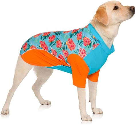 Benefits of SPF Shirts for Dogs