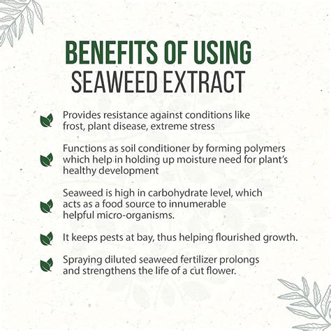 Benefits of Seaweed Fertilizer