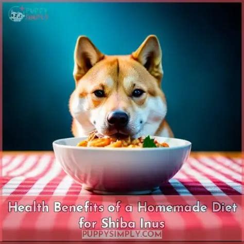 Benefits of Shiba Inu AI