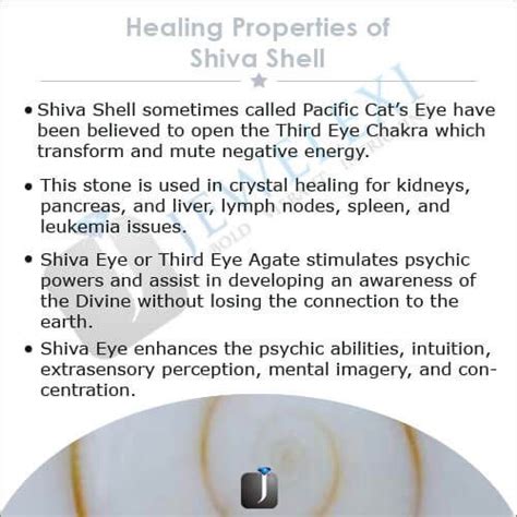 Benefits of Shiva Eye Shells