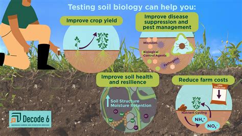 Benefits of Soil Testing: