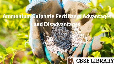 Benefits of Sulfate Ammonium Fertilizer