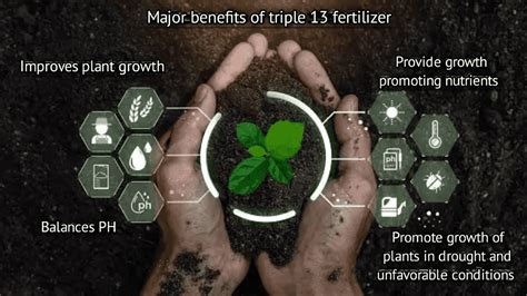 Benefits of Triple 10 Fertilizer