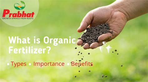 Benefits of True Organic Fertilizers