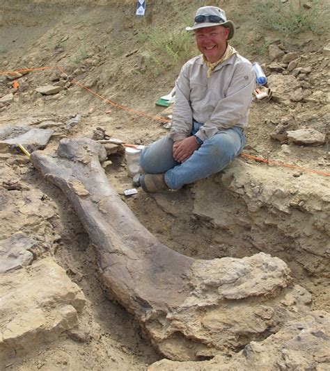 Benefits of Uncovering Dinosaur Fossils