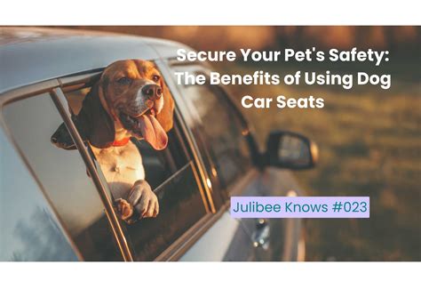 Benefits of Using Doggie Car Seats